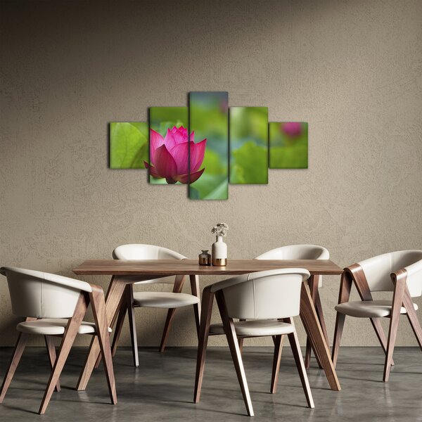 Obraz - vodní rostlina (125x70 cm)