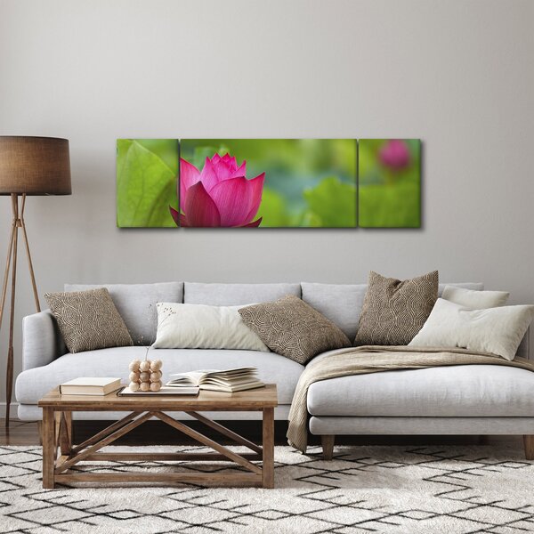 Obraz - vodní rostlina (170x50 cm)