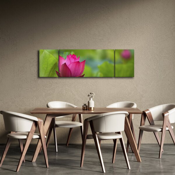 Obraz - vodní rostlina (170x50 cm)