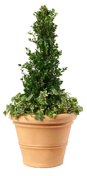 BAMA Květináč CHIANTI 50 cm, v barvě terakoty