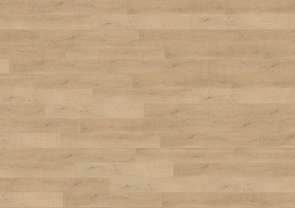 WINEO 400 wood L Plain oak beige DB281WL - 3.89 m2