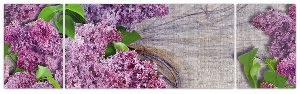 Obraz - Šeřík (170x50 cm)