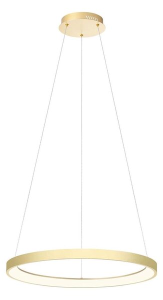 Redo 01-2673-LED Stmívatelný lustr na lanku ICONIC LED/50W/230Vpr. 58 cm zlatá