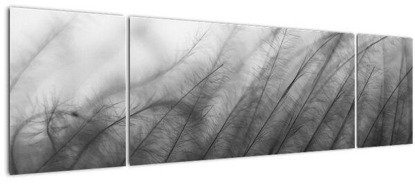 Obraz - Tráva ve větru (170x50 cm)