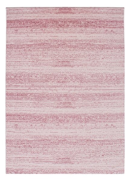 Ayyildiz koberce Kusový koberec Plus 8000 pink - 200x290 cm