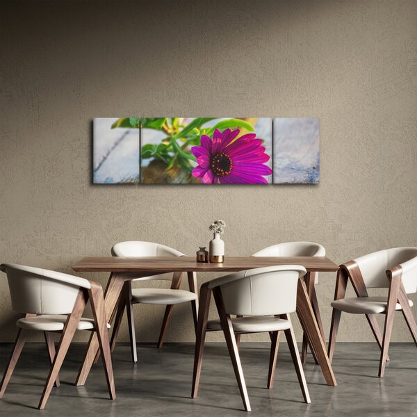 Obraz řezané květiny (170x50 cm)