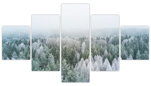 Obraz - Zasněžené vrcholky lesů (125x70 cm)