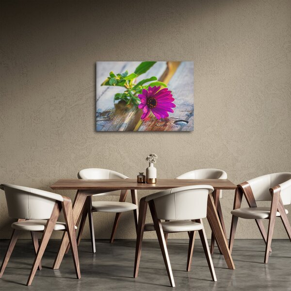 Obraz řezané květiny (70x50 cm)