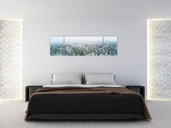 Obraz - Zasněžené vrcholky lesů (170x50 cm)