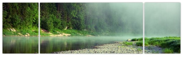 Obraz - Řeka u lesa (170x50 cm)