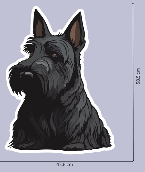 PIPPER. Nálepka Skotský teriér Velikost: 60cm