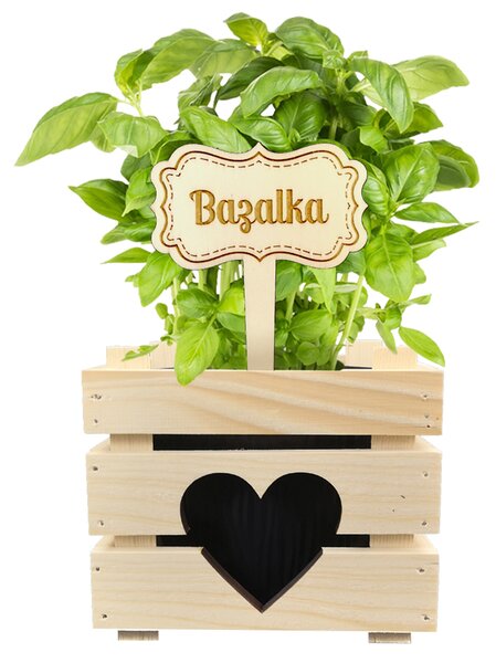 AMADEA Dřevěný zápich - cedulka na bylinky Bazalka, výška 20 cm, český výrobek
