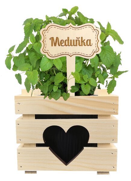 AMADEA Dřevěný zápich - cedulka na bylinky Meduňka, výška 20 cm, český výrobek