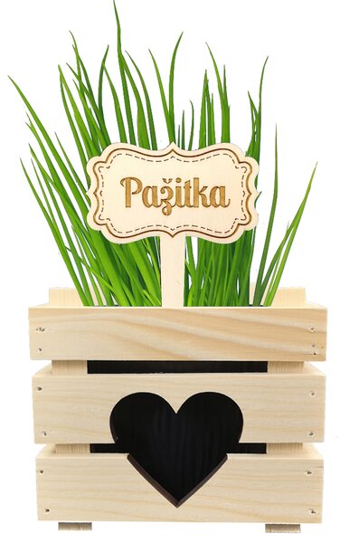 AMADEA Dřevěný zápich - cedulka na bylinky Pažitka, výška 20 cm, český výrobek