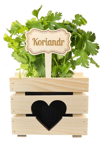 AMADEA Dřevěný zápich - cedulka na bylinky Koriandr, výška 20 cm, český výrobek