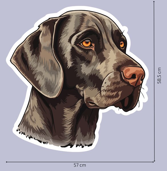 PIPPER. Nálepka Výmarský ohař Velikost: 60cm