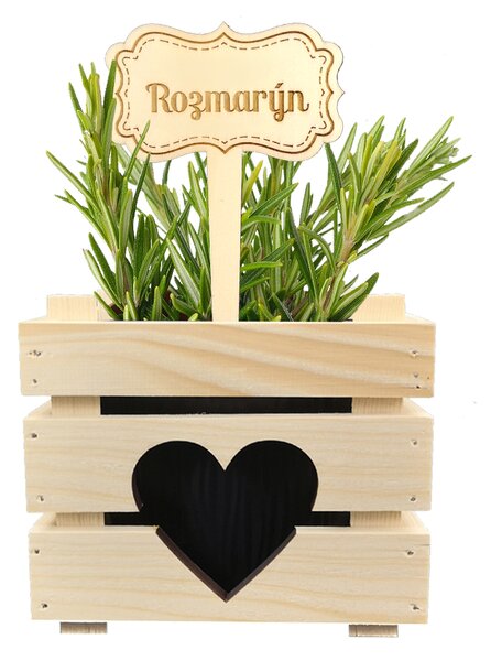 AMADEA Dřevěný zápich - cedulka na bylinky Rozmarýn, výška 20 cm, český výrobek