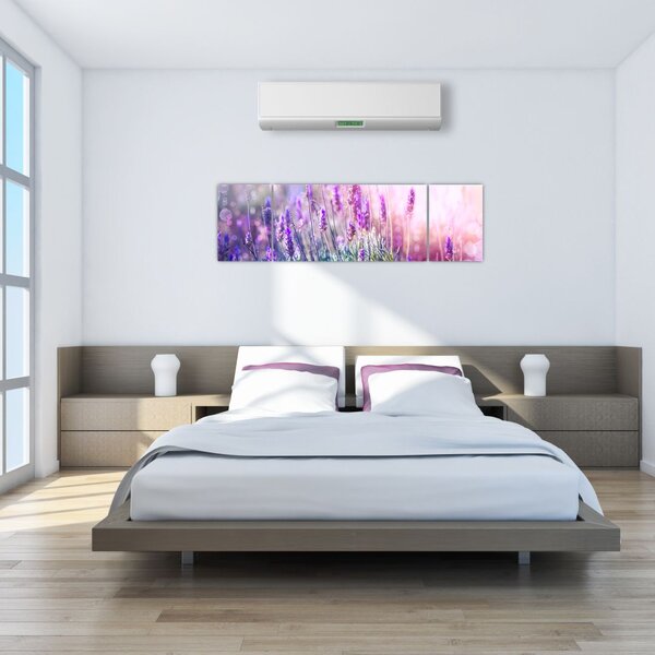 Obraz - Levandule ve třpytu slunce (170x50 cm)