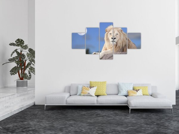 Obraz - Bílý lev (125x70 cm)