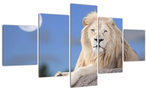 Obraz - Bílý lev (125x70 cm)