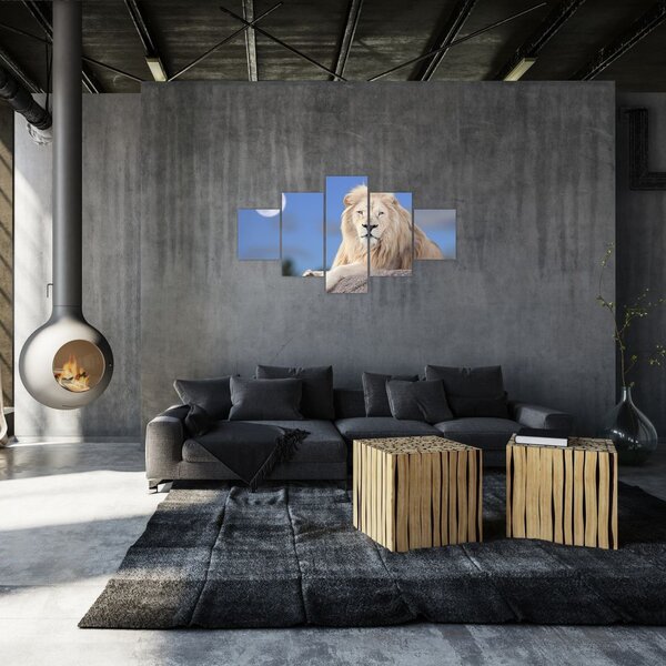 Obraz - Bílý lev (125x70 cm)