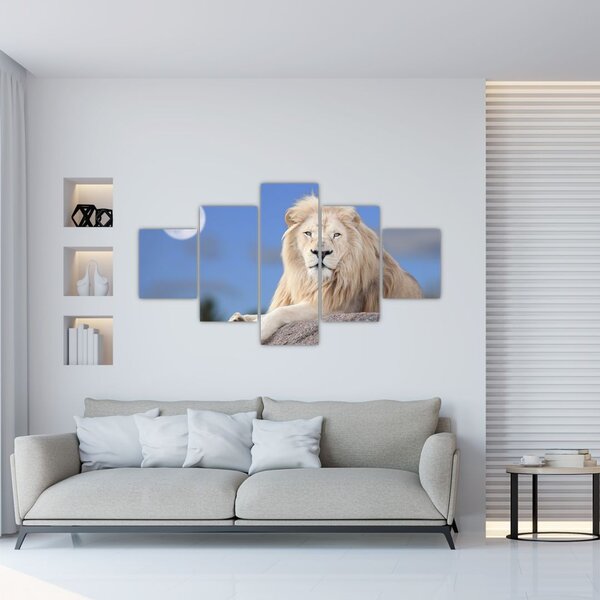 Obraz - Bílý lev (125x70 cm)
