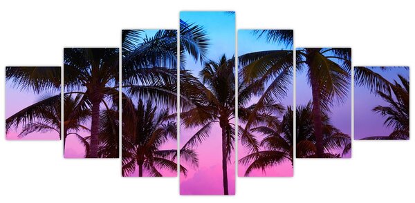 Obraz - Palmy v Miami (210x100 cm)