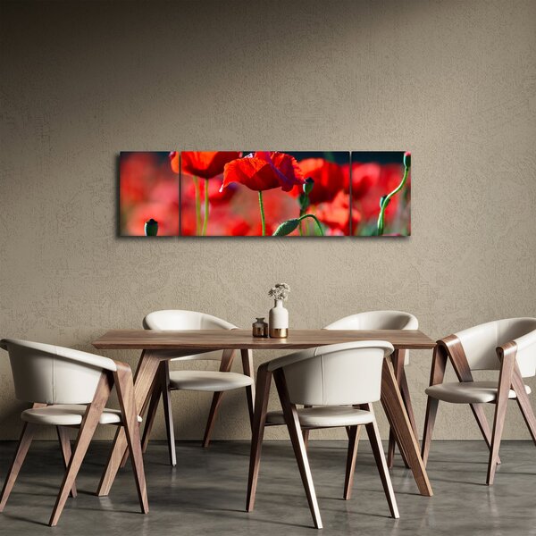 Obraz - vlčí máky (170x50 cm)