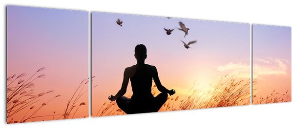 Obraz - Meditace (170x50 cm)
