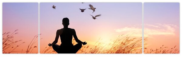 Obraz - Meditace (170x50 cm)
