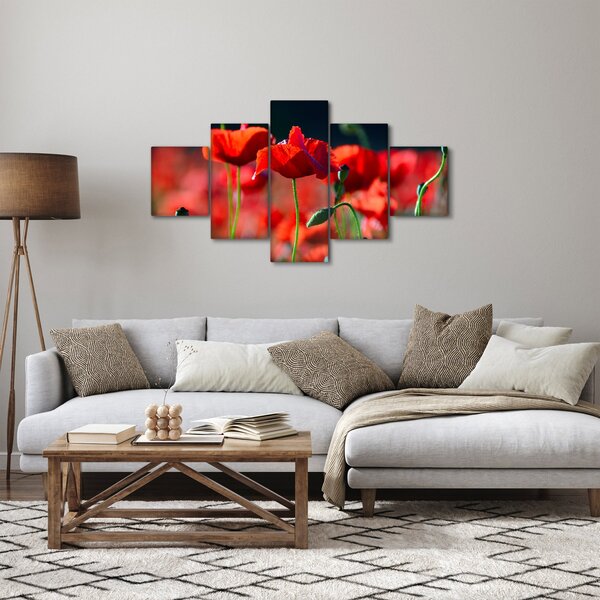 Obraz - vlčí máky (125x70 cm)