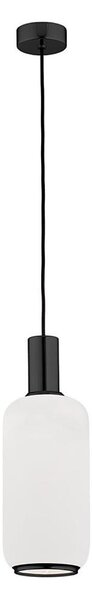 Argon 8563 - Lustr na lanku SAGUNTO PLUS 1xE27/15W/230V pr. 14 cm černá