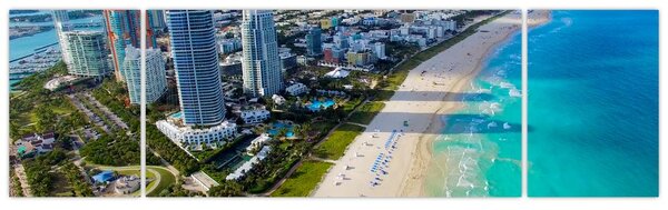 Obraz - Miami, Florida (170x50 cm)