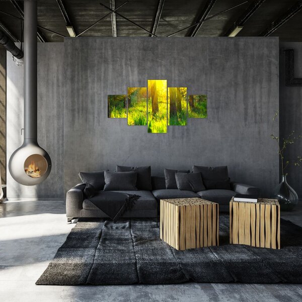 Obraz - Jarní probouzení lesa (125x70 cm)