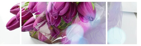 Obraz - kytice tulipánů (170x50 cm)
