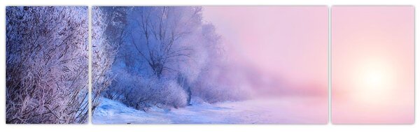 Obraz - Zamrzlá řeka (170x50 cm)