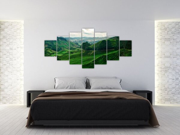 Obraz - Čajové plantáže v Malajsii (210x100 cm)