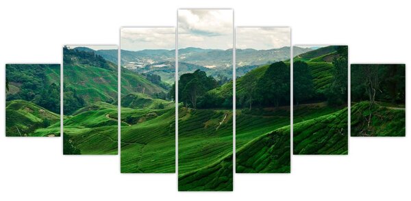Obraz - Čajové plantáže v Malajsii (210x100 cm)