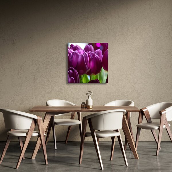 Obraz tulipánů (30x30 cm)