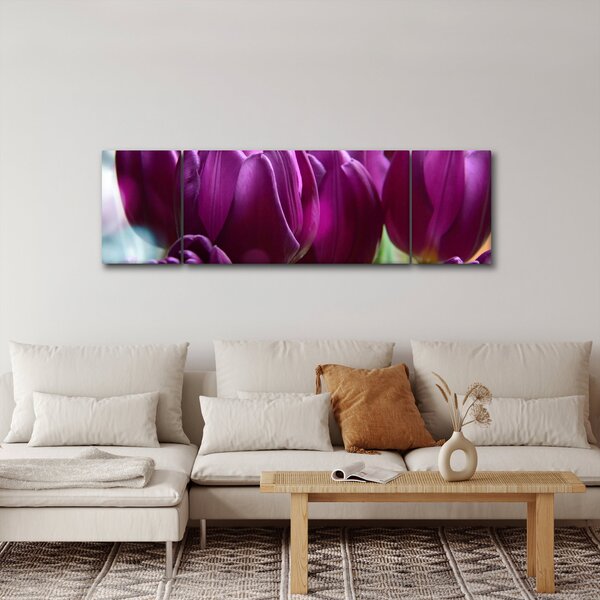 Obraz tulipánů (170x50 cm)