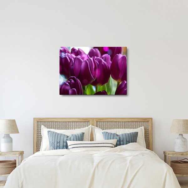 Obraz tulipánů (70x50 cm)