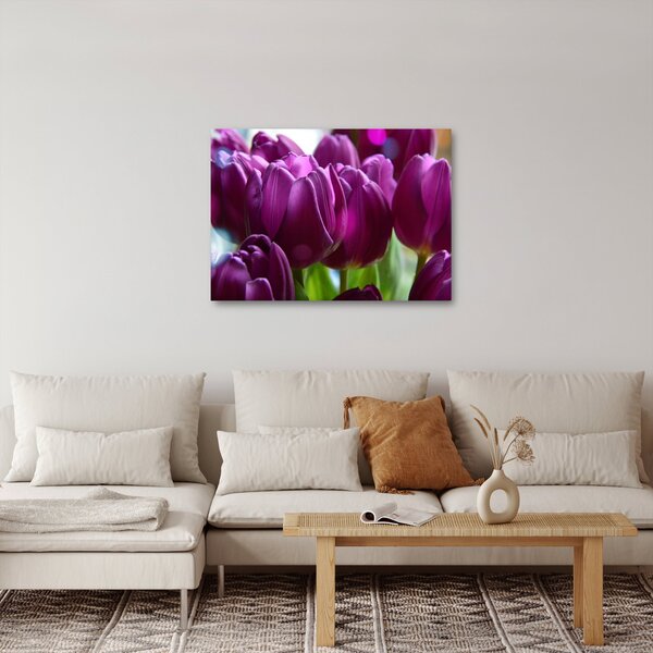 Obraz tulipánů (70x50 cm)