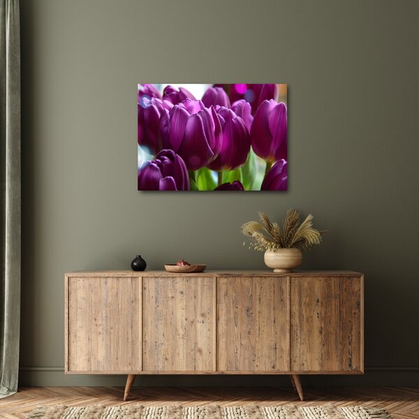 Obraz tulipánů (70x50 cm)