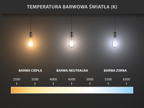 Mexen Vintis, LED žárovka spirála E27, G125, 6W, Teplá - 2200K, 350 lm, kouřová - L168-E27-0622-70