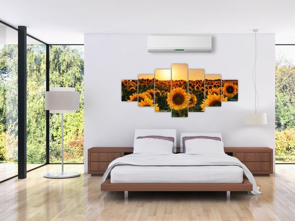 Obraz - Slunečnice (210x100 cm)