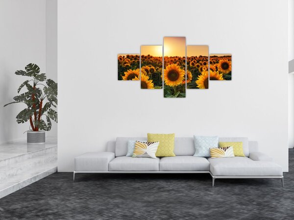 Obraz - Slunečnice (125x70 cm)