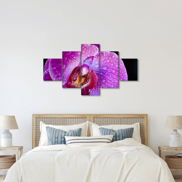 Detailní obraz květu orchideje (125x70 cm)