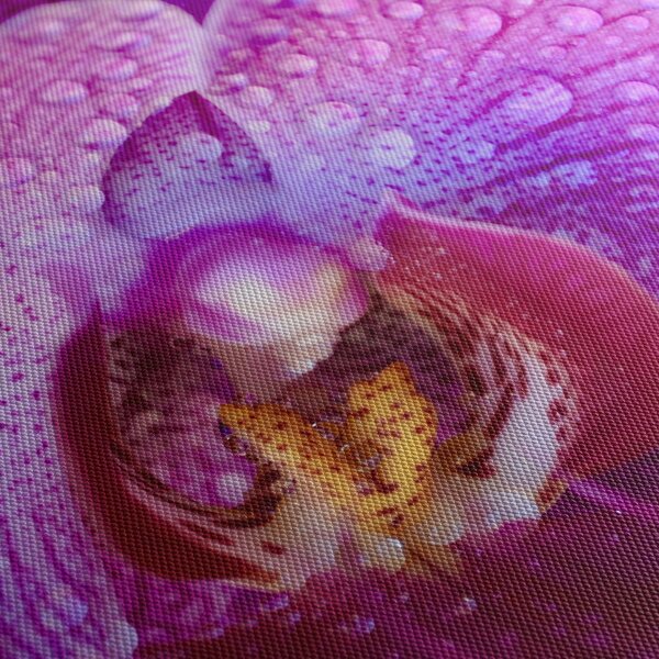 Detailní obraz květu orchideje (30x30 cm)