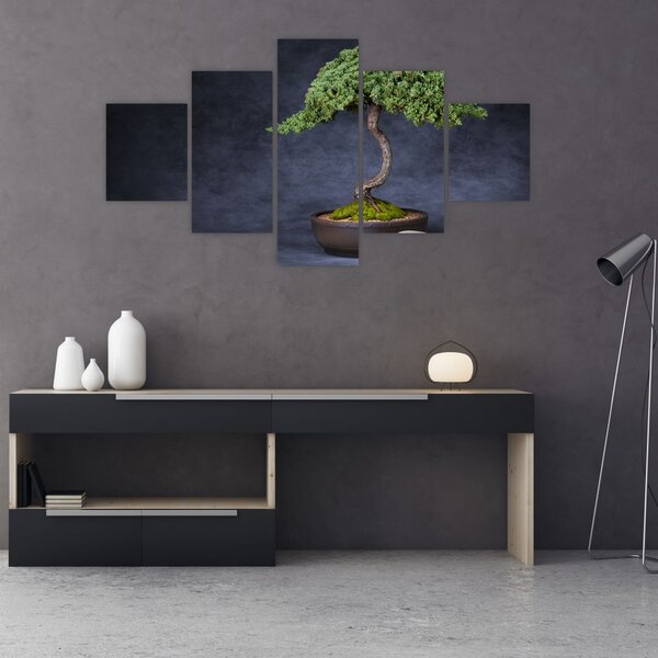Obraz - Bonsai (125x70 cm)