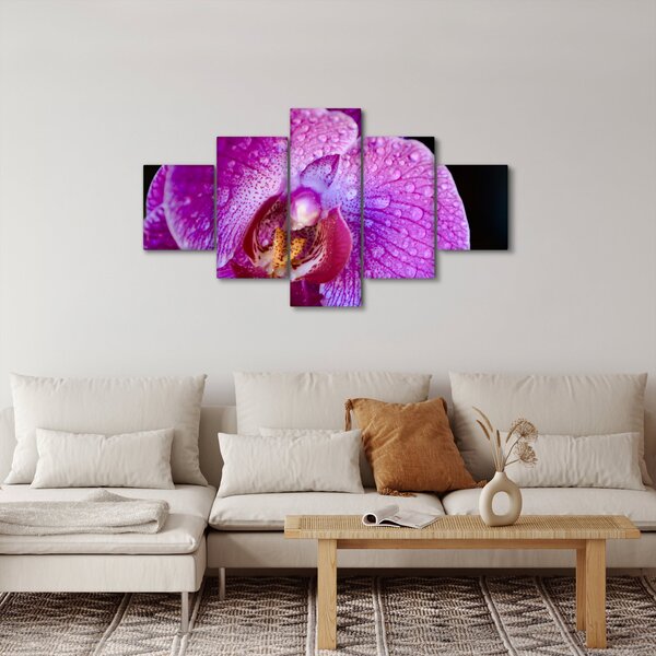 Detailní obraz květu orchideje (125x70 cm)